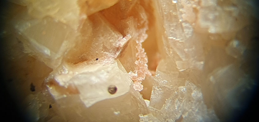Erythrin auf Dolomitkristallen BB ca. 5 mm