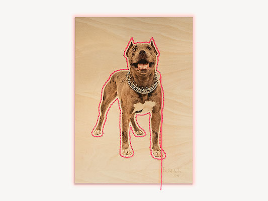 Barbara Reck-Irmler: Hund Nr. 1 • 2019 • C-Print auf Sperrholz, Textilgarn • 84 x 119 cm