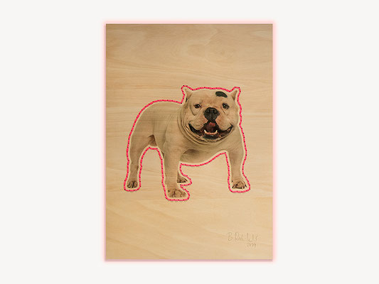 Barbara Reck-Irmler: Hund Nr. 3 • 2019 • C-Print auf Sperrholz, Textilgarn • 84 x 119 cm • Privatsammlung