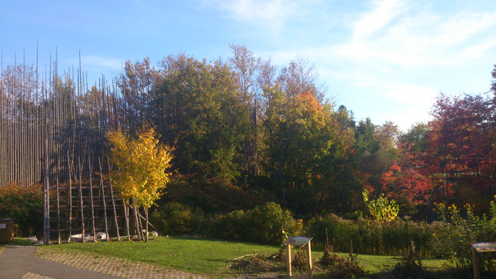 Paysage automnal à Wendake