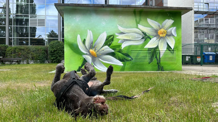 Gelungenes Projekt: Der gestaltete Stromverteilerkasten in Berlin Mitte als Beweis für die Zusammenarbeit von Kunst und öffentlicher Hand.