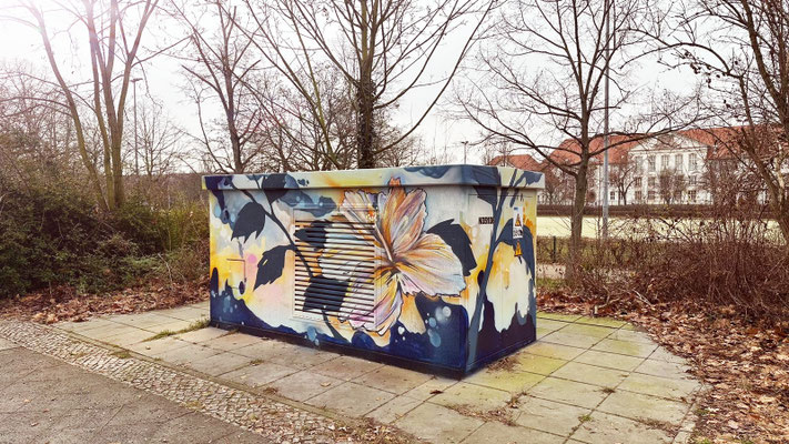 Stromkasten im öffentlichen Raum (N35136), gestaltet mit floralem Streetart-Motiv als Vandalismusschutz. Appolloart realisiert solche Projekte überregional in ganz Deutschland.