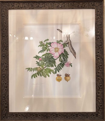 サンショウバラ（額外寸 540 x 460 mm）￥176,000.-（税込）