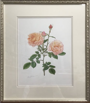 レディ エマ ハミルトン（額外寸 455 x390 mm）￥176,000.-（税込）