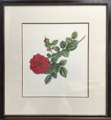 テス オブ ダーバウィルズ（額外寸 490 x 455 mm）￥176,000.-（税込）