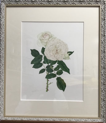 ボレロ（額外寸 500 x 430 mm）￥176,000.-（税込）
