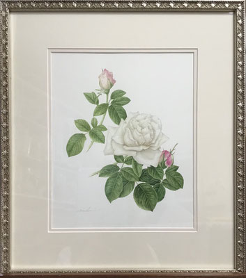 フラウ カール ドルシュキ（額外寸 450 x 390 mm）￥176,000.-（税込）