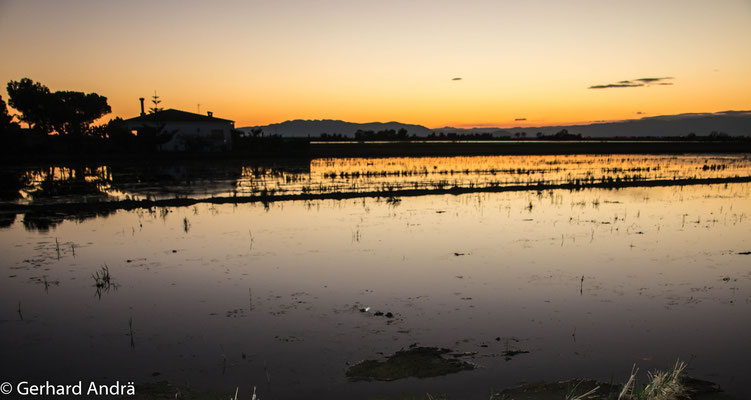Sonnenuntergang im Ebro Delta
