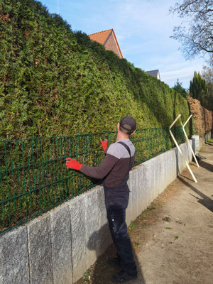 Aufstellung von Zäunen