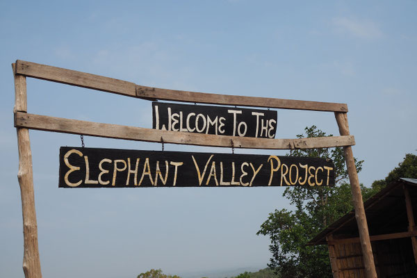 EVP - Elephant Valley Project in Sen Monorom