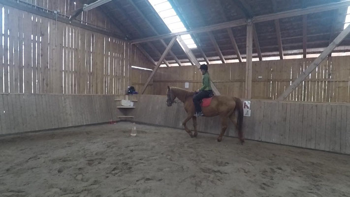 Stefans erste Reitstunde