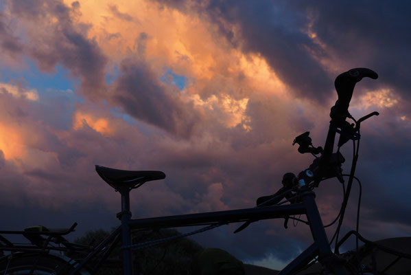 Emil in Abendstimmung