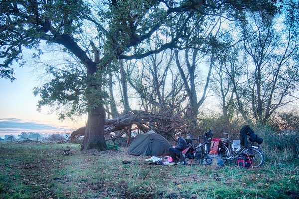 Campsite in den Elbauen