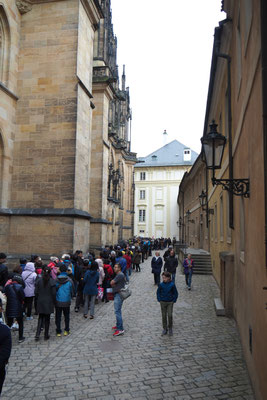 Schlange in der Prager Burg