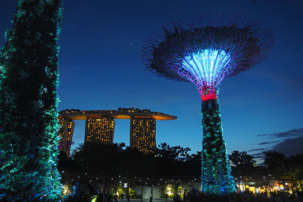 Im Park der Supertrees mit Blick auf das Marina Bay - Alles in 12 Taschen - Cycletouring/Radreise