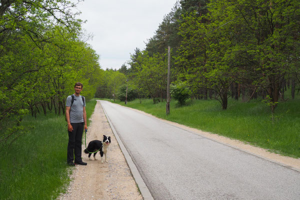 Stefan steht der Hund