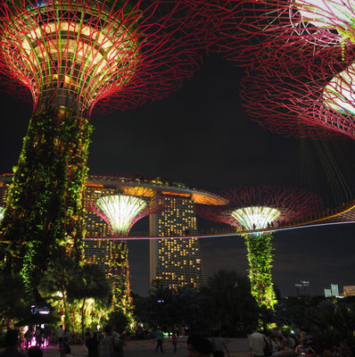 Lichtershow im Supertree-Park - Alles in 12 Taschen - Cycletouring/Radreise
