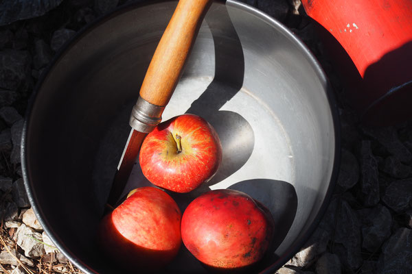 Zutaten für Applecrumble: Äpfel