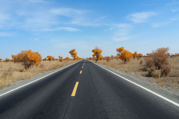 Crossing Xinjiang by bike on G315 - autumn in the desert