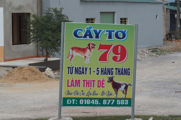 Hin und wieder ist auch mal ein Hund - oder eine Katze abgebildet und weißt auf das hier angebotene Fleisch hin
