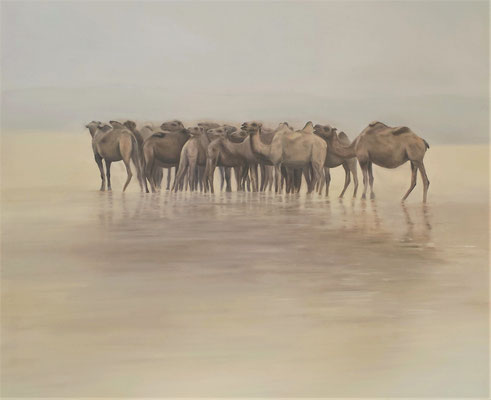Kamele - 120 x 120