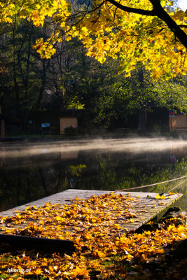 Die letzten Herbsttage 2023 am Aspanger Teich