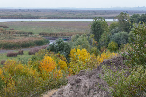 schöne Landschaft