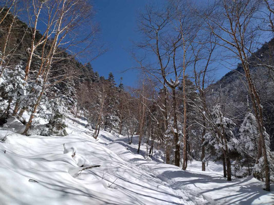 ２．沢沿いの登山道