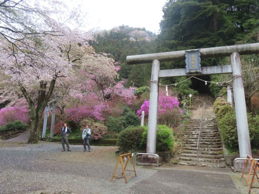 1 今熊神社の鳥居