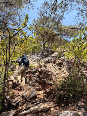 また登る