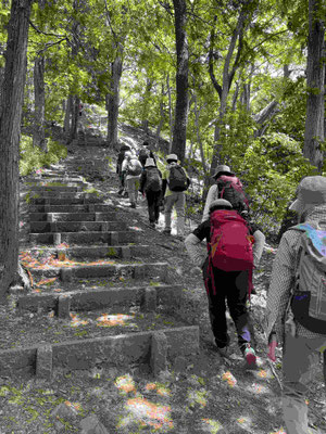 4 少し急登も有ります