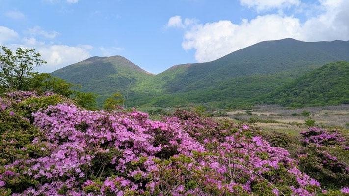 ⑥坊がつるから望む平治岳と大船山