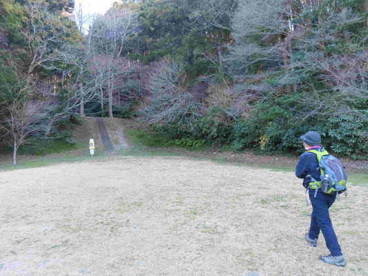 南郷上ノ山公園から歩きます