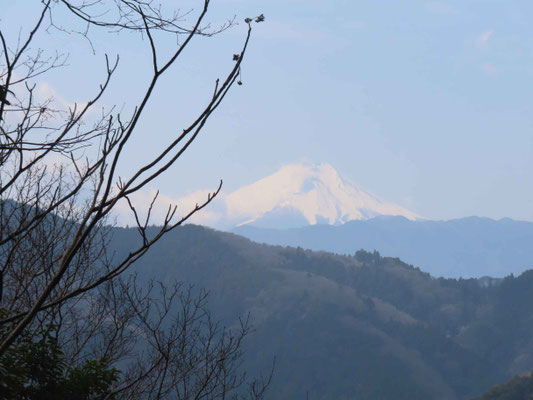 9 綺麗な富士山