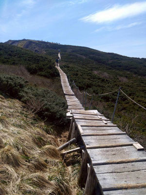 4　大山　頂上　木道