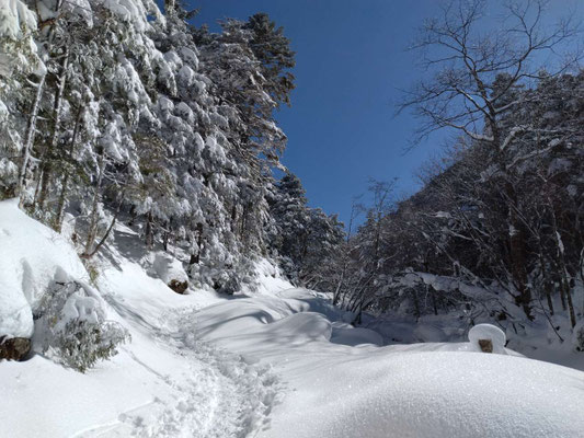 1.沢沿いの登山道