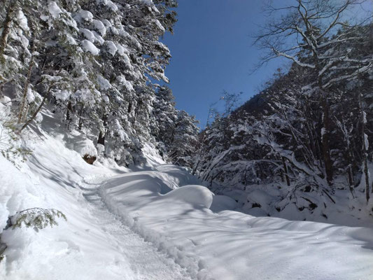 1.登山道の雪景色