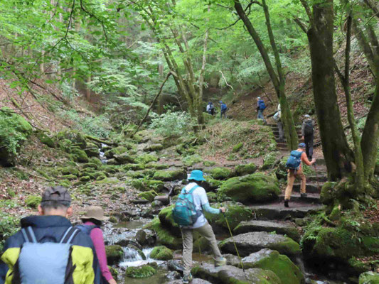 6 涼しい沢沿いを歩く