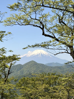 富士山どーん！