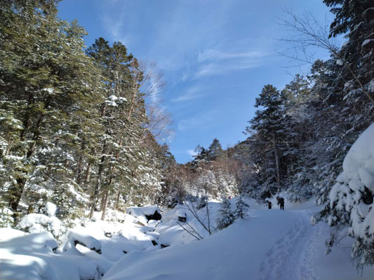 4.沢沿いの登山道