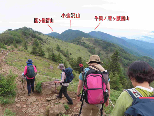 11 稜線を下る
