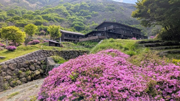 ④憧れの坊がつる温泉＆ミヤマキリシマ