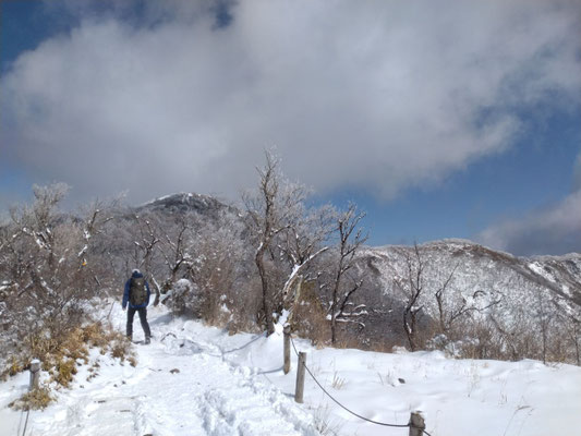 12.2025年3月9日の塔ノ岳の雪の登山道