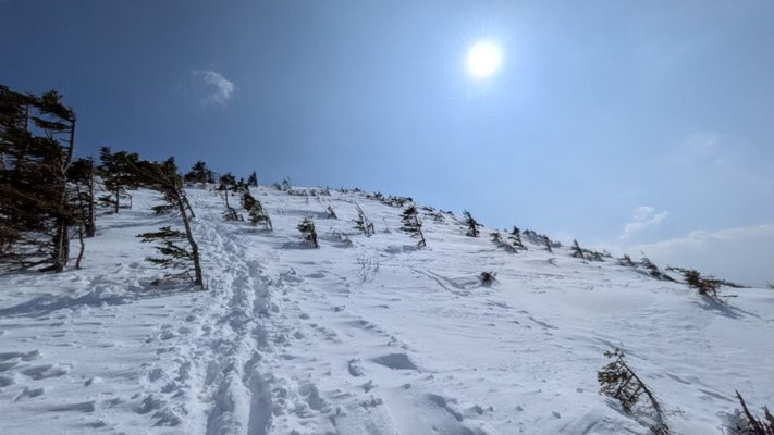 ②東天狗岳に向かう急登！がんばれ～！！
