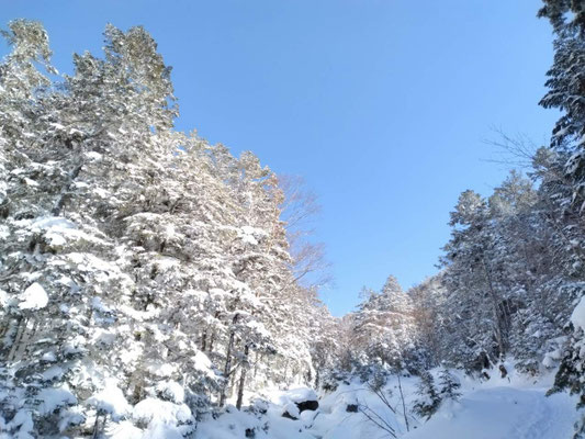 3.登山道の雪景色