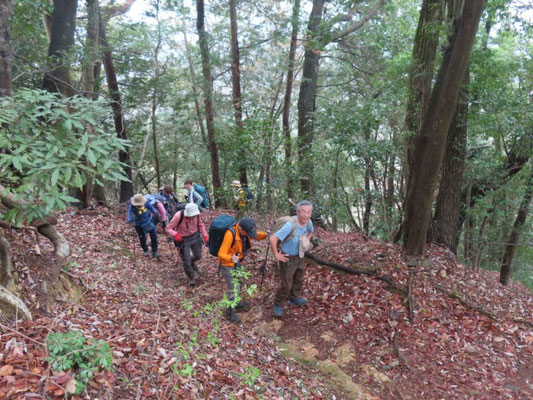 5 ゆっくり登ります