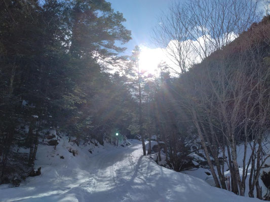 1.桜平ゲートから夏沢鉱泉に向かう登山道