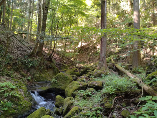 1.渓流沿いの登山道