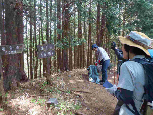 4 神ノ主山