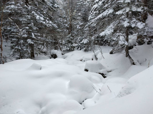 4.登山道沿いの雪景色